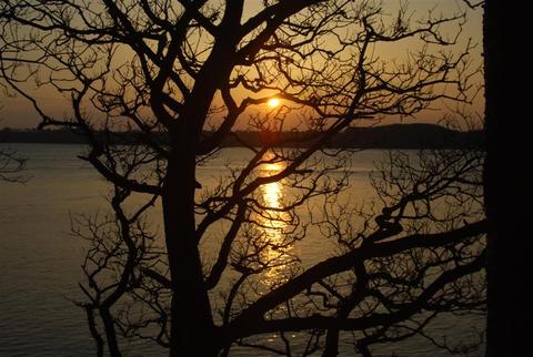 2009_0410_010127 (Medium)